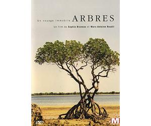 Arbres : un voyage immobile