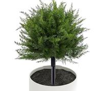 Arbusti di cedro artificiali per esterni resistenti ai raggi UV con perno | Alberi Topiary Per Esterno In Giardino Sulla Terrazza E Patio Di Casa In Casa Cortile Deck Dentro E Sul