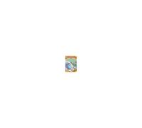 Arc-en-ciel l'anniversaire de Kraktor : PC DVD ROM , FR