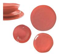 Arca Servizio Piatti, Set Piatti Reactive Salmone 18 Pezzi | Piatti Colorati Ceramica, Set di Piatti Moderni | Piatti Irregolari per Set da Tavola Originale, 25 e 20cm