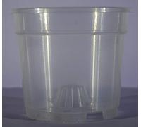 ARCA Vaso Trasparente in PLASTICA Ideale per Le Orchidee in Confezione da 6 Pezzi (13, 12)