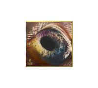 Arcade Fire WE (Vinyl LP) 12" Album (Gatefold Cover)