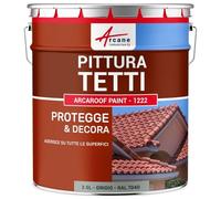 ARCANE INDUSTRIES Pittura Tetto Tegole e Ardesia Resistente ai UV - ARCAROOF PAINT 2,5 L Grigio finestra -