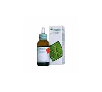 Arcangea BETULA VERRUCOSA BIO GEMME 33 GRADI GEMMODERIVATO 50 ML