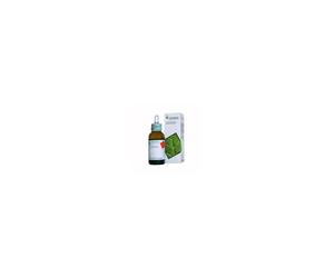 Arcangea BETULA Verrucosa Semi GemmoDerivato 33 50ml scadenza 31/3/26