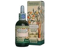 Arcangea ECHINAGENA 100 ML