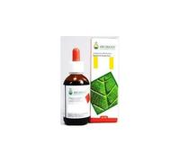 Arcangea FUCUS SOL IAL 50ML