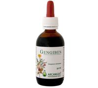 Arcangea Integratore Gengiben Soluzione Ial per la bocca, 50ml