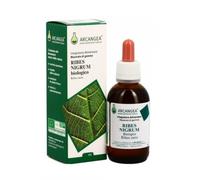 Arcangea RIBES NIGRUM 33% BIO 50 ML GEMMODERIVATO