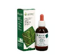 Arcangea RIBES NIGRUM BIO 33 GRADI GEMMODERIVATO 50 ML