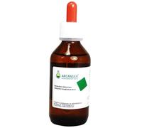 Arcangea RIBES NIGRUM CIRCULATUM GEMMODERIVATO 33 BIO 100 ML