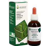 Arcangea Ribes Nigrum GD 33 Bio gemmoderivato bio, flacone 100ml