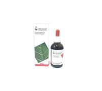 Arcangea TANACETO BIOLOGICO SOLUZIONE IDROALCOLICA 50 ML