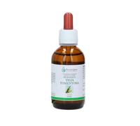 Tilia tomentosa biologica gemmoderivato arcangea 50ml