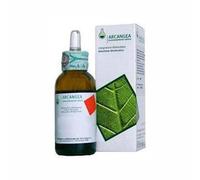 Arcangea VITIS VINIFERA BIO 33 50 ML GEMMODERIVATO