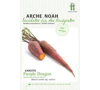 Arche Noah Carota "Purple Dragon" Bio - 1 conf.