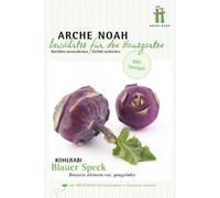 Arche Noah Cavolo Rapa "Blauer Speck" Bio - 1 conf.