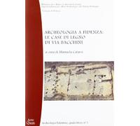 Archeologia a Fidenza: le case di legno di via Bacchini