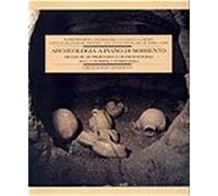 Archeologia a Piano di Sorrento. Ricerche di Preistoria e di Protostoria nella Penisola Sorrentina. Catalogo della mostra.