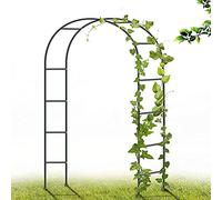 Archi da giardino in metallo per piante rampicanti e rose, 3,5 m x 2,2 m, elegante telaio di supporto per decorazioni da giardino e per esporre palloncini per feste, colore nero