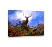 Archibald Thorburn Stampa su tela L'ultima possibilità prima del buio Quadro Riproduzione su tela Telaio Uccelli Poster Decorazione Parete Soggiorno Camera da Letto 85x60cm(33x24in)Con cornice