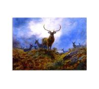 Archibald Thorburn Stampa su tela L'ultima possibilità prima del buio Quadro Riproduzione su tela Telaio Uccelli Poster Decorazione Parete Soggiorno Camera da Letto 70x50cm(28x20in)Senza cornice