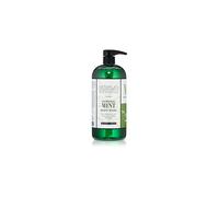 Archipelago Morning Mint - Lavaggio per il corpo da 33 oz.
