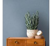 Architects Paper Arcade 393314 - Carta da parati in tessuto non tessuto, tinta unita, 10,05 m x 0,53 m, made in Germany