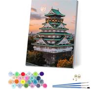 Architettura Dipingere con i Numeri Adulti con Telaio, Dipingere con i Numeri Luna, Fai da te Paint by Numbers Kits con 3 Pennelli e Pigmento Acrilico, Decorazioni Casa, Regalo Donna 40x50cm 0-2659