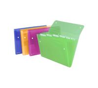 Archiviatore a Soffietto Ice Rexel - 13 Tasche - 2102034 (Assortiti)