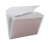 Archiviatore a Soffietto Ice Rexel - 13 Tasche - 2102035 (Bianco)