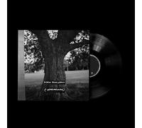 Archy Marshall & King Krule - A New Place 2 Drown (Instrumental) (Remastered) (Limited Indie Edition) (LP)