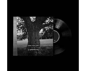 Archy Marshall & King Krule - A New Place 2 Drown (Instrumental) (Remastered) (Limited Indie Edition) (LP)