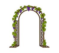 Arco a traliccio per varie piante rampicanti, arco per rose in metallo per matrimoni, supporto per arrampicata per rose da giardino con base, pergola resistente alle intemperie per fiori, frutta