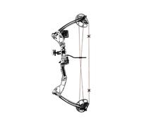 Arco compound Poe Lang Rex Quad - skull camo - set