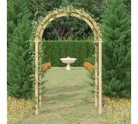 vidaXL Arco da Giardino 141x97x243 cm in Legno di Pino Impregnato