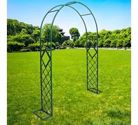 Arco da giardino, altezza 221 cm/238,8 cm, pergolato in metallo, per varie piante rampicanti, arco per matrimoni, decorazione per feste nuziali, ampio pergolato da giardino (verde, 320 x 238,8 cm)