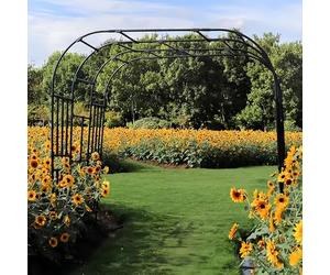 Arco da giardino, arco di supporto per esterni, arco di supporto esterno, arco per piante rampicanti, adatto per piante rampicanti, rose, verdure, decorazione esterna e decorazione ad arco