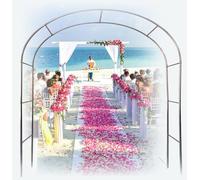 Arco da giardino in acciaio inox con ampio telaio di supporto, durevole e antiruggine, ideale per piante di vite e archi di fiori, anti corrosione