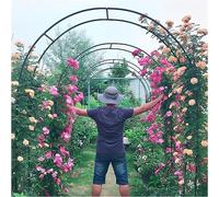 Arco da giardino in metallo, 120 cm, 240 cm, 300 cm, 350 cm, 180 cm, grande arco nuziale per piante rampicanti e rose, nero, larghezza 1,2 m x altezza 2,2 m, elegante decorazione per esterni per