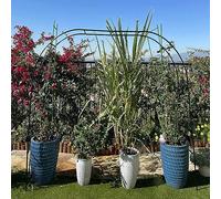 Arco da giardino in metallo per piante rampicanti, 2,4 m x 2,2 m, tubo zincato da 19 mm, per rose nere, robusto supporto per esterni, perfetto per la decorazione del giardino