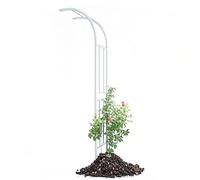 Arco da giardino in metallo per piante rampicanti, arco per rose bianche con supporto a parete laterale, cornice per piante da esterno per frutta e verdura, 150 x 240 x 50 cm