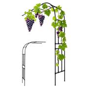 Arco da giardino in metallo per piante rampicanti, robusto traliccio da esterno, per rose e viti, facile da montare, supporto a mezzo lato, nero (150 x 40 x 240 cm)