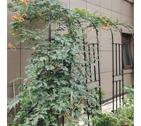 Arco da giardino in metallo per rose rampicanti, clematide e glicine, supporto semi-arco resistente alle intemperie, altezza 240 cm, nero, perfetto per traliccio e decorazione da giardino