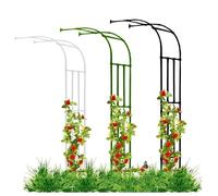 Arco da giardino in metallo per rose, resistente, traliccio di supporto per piante da esterno, struttura rampicante, pergolato decorativo per giardino, verde, 240 x 240 cm, perfetto per esposizioni