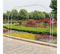 Arco da giardino in metallo resistente per piante rampicanti, supporto per pergolato di rose, grandi archi per matrimoni, larghezza da 120 cm a 200 cm, larghezza 350 x altezza 220 cm, decorazione da