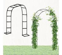 Arco da Giardino in Metallo Supporto per Rampicanti Sostegno Pergolato per Rose Fiori Piante Vite Decorazione per Matrimoni ed Eventi, in Acciaio 120 140 200 180 300 240cm(Black,W1.8 x H2.20m)