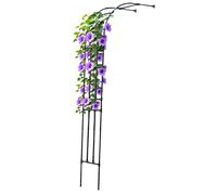 Arco da giardino per piante rampicanti, pergolato in metallo, per rose, telaio di supporto per esterni, diverse dimensioni, 60-300 cm, elegante design nero (L270 x H240 x P40)
