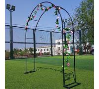 Arco da giardino per piante rampicanti, robusto pergolato in ferro per matrimoni e decorazioni per esterni, struttura di supporto autoportante per piante