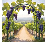 Arco da Giardino per Rose Piante Rampicanti, Supporto in Ferro Graticcio, 140 200 230 240cm Garden Pergola Traliccio Metallo per Decorazioni Nozze Esterni E Interni, Orto, Prato(Green,W2.0 x H2.30m)